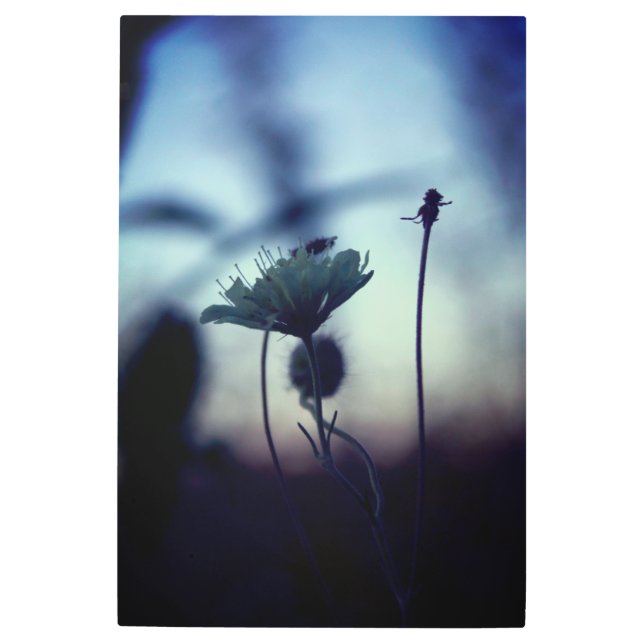 Impresión En Metal Romantic Trees & Flowers – Botanical Fantasy Boho (Anverso)