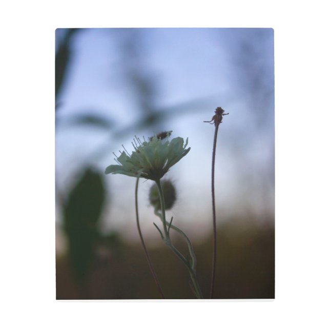 Impresión En Metal Romantic Trees & Flowers – Botanical Fantasy Boho (Anverso)