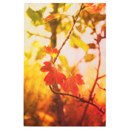 Impresión En Metal Romantic Trees & Leaves – Botanical Fantasy Boho