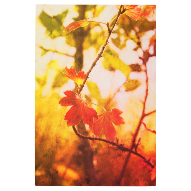 Impresión En Metal Romantic Trees & Leaves – Botanical Fantasy Boho (Anverso)