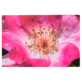 Impresión En Metal Rosa