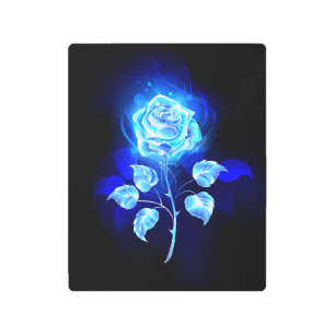 Impresión En Metal Rosa azul en llamas