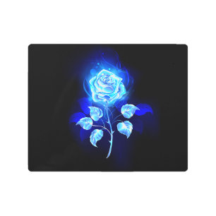 Impresión En Metal Rosa azul en llamas