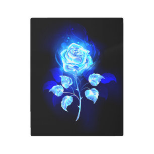 Impresión En Metal Rosa azul en llamas