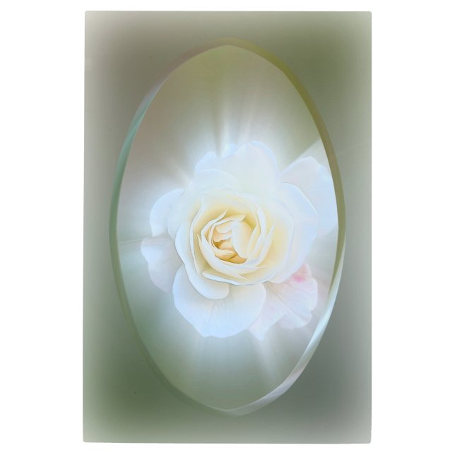 Impresión En Metal Rosa blanca (Anverso)