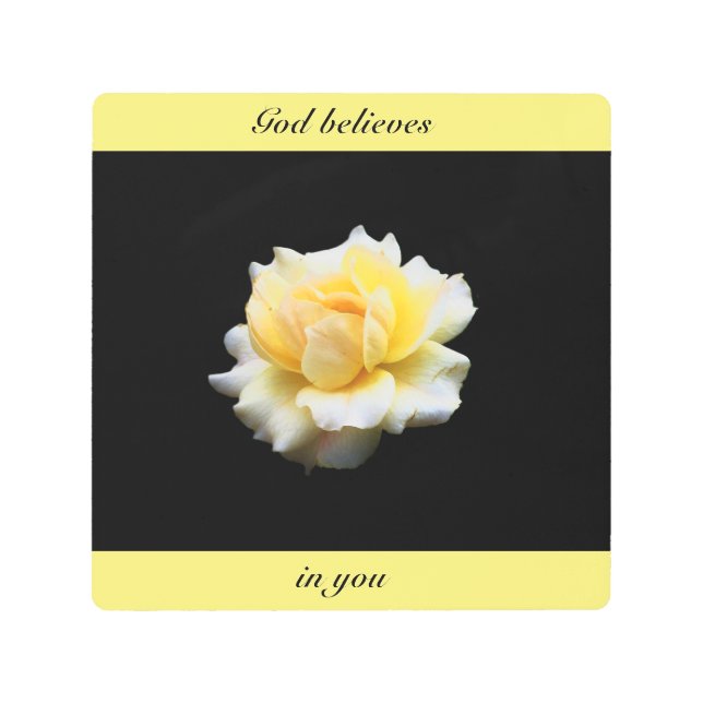 Impresión En Metal Rosa Blanca Inspiradora (Anverso)