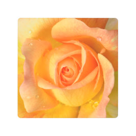 Impresión En Metal Rosa de achichewa Peach