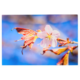 Impresión En Metal Rosa Sakura Flower Blue Sky