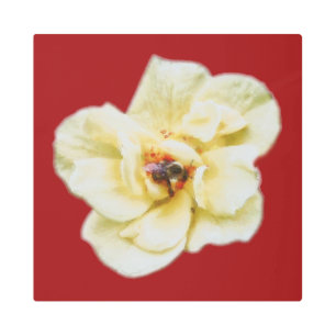 Impresión En Metal Rosa y abeja