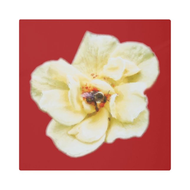 Impresión En Metal Rosa y abeja (Anverso)