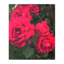 Impresión En Metal Rosario Roses Rojos
