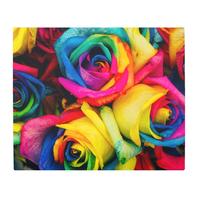 Impresión En Metal Rosas Arcoiris De Glorioso Color (Anverso)