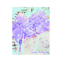 Rosas del Agua Azul Mágico