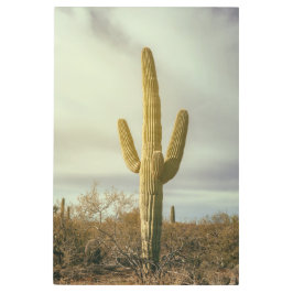 Impresión En Metal Saguaro