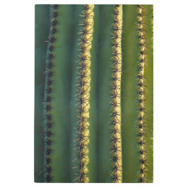 Impresión En Metal Saguaro Spines