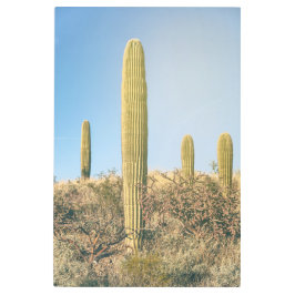 Impresión En Metal Saguaros