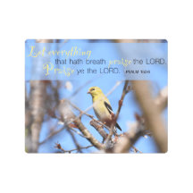 Salmo 150:6 - Goldfinch