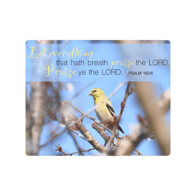 Impresión En Metal Salmo 150:6 - Goldfinch (Anverso)