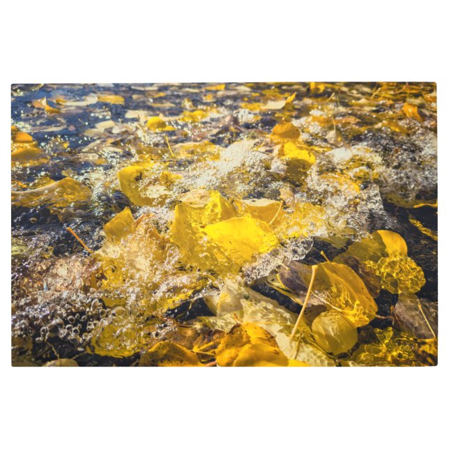 Impresión En Metal Saltos caídos en el agua (Anverso)