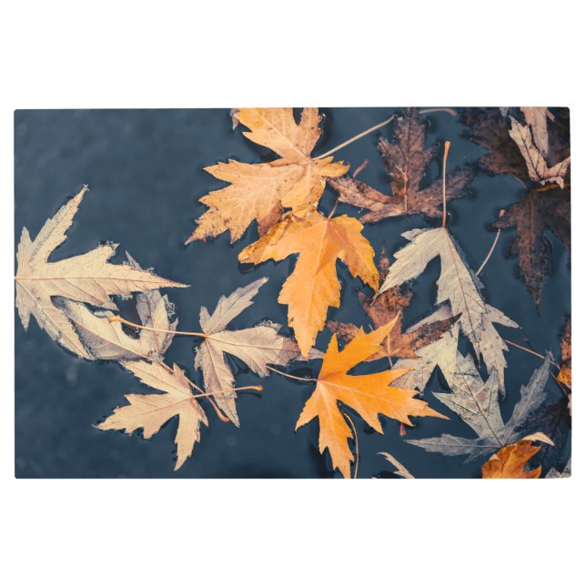 Impresión En Metal Saltos caídos en el agua (Anverso)