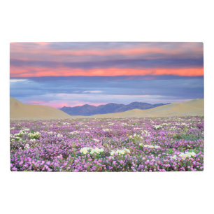Impresión En Metal Sand Verbena y Dune Primrose Wildflowers at Sunset