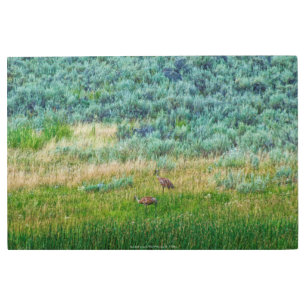 Impresión En Metal Sandhill Cranes