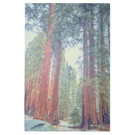 Impresión En Metal Secuoyas gigantes
