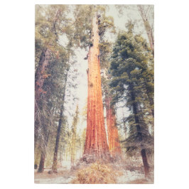 Impresión En Metal Secuoyia gigante