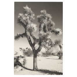 Impresión En Metal Sepia Toned Joshua Tree