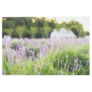 Impresión En Metal Serene Lavender Field