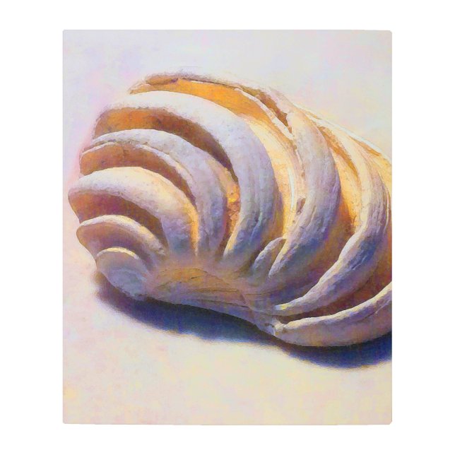 Impresión En Metal Shell imperial de Venus (Anverso)