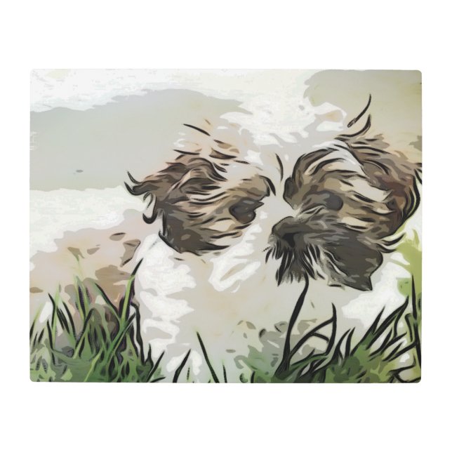 Impresión En Metal Shih tzu, perro, animal (Anverso)