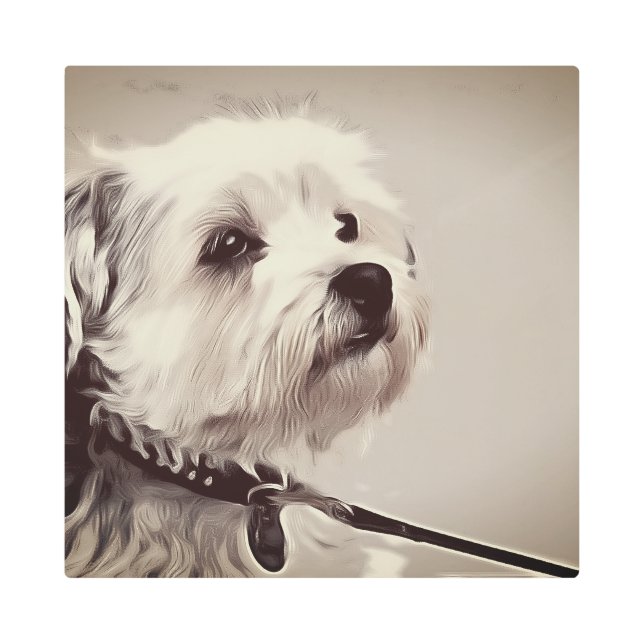 Impresión En Metal Shih tzu, perro, Mascota (Anverso)