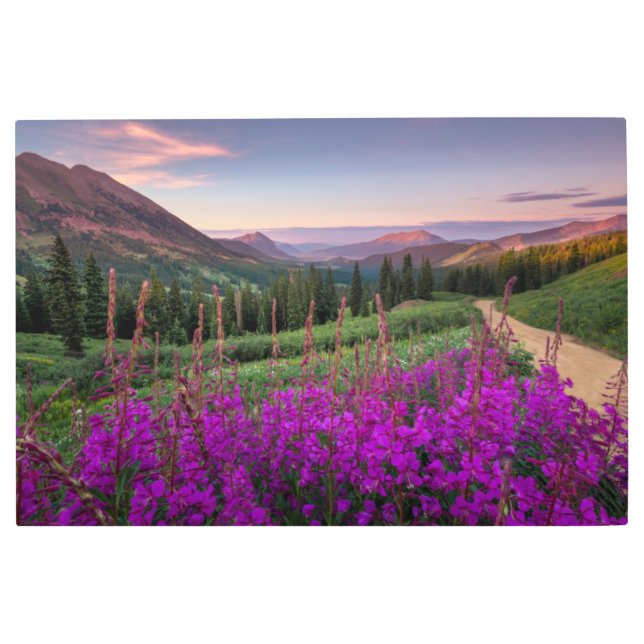 Impresión En Metal Sierra | Montañas Rocosas, Colorado (Anverso)