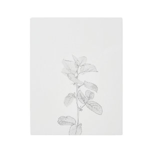 Impresión En Metal Silhouette de planta Verde azulada monocromática