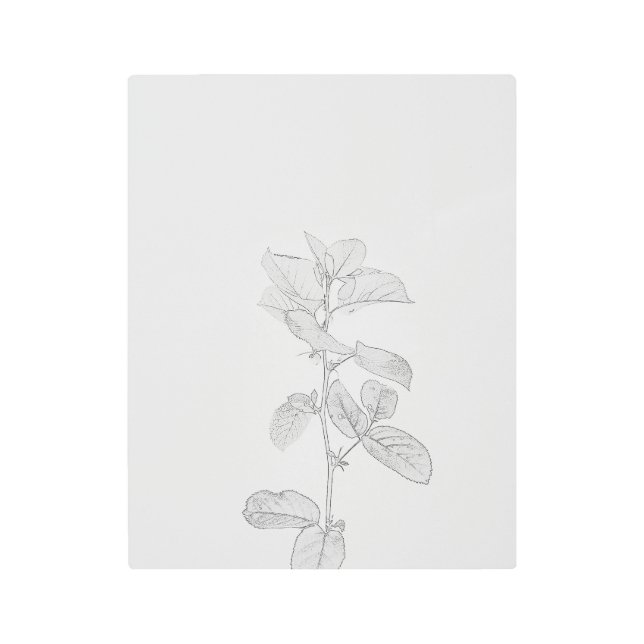 Impresión En Metal Silhouette de planta Verde azulada monocromática (Anverso)