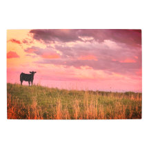 Silhouette de vaca al atardecer