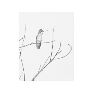 Impresión En Metal Simplemente un colibrí en un palillo