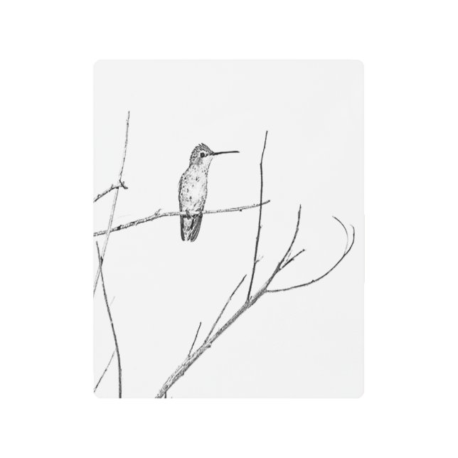 Impresión En Metal Simplemente un colibrí en un palillo (Anverso)