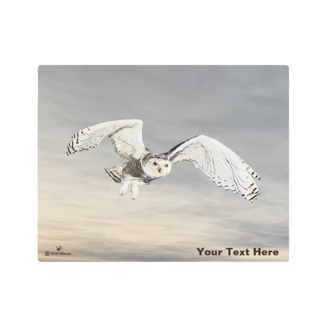 Impresión En Metal Snowy Owl (Anverso)