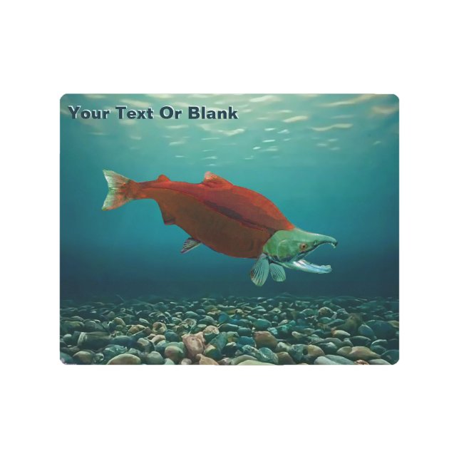 Impresión En Metal Sockeye Salmon (Anverso)