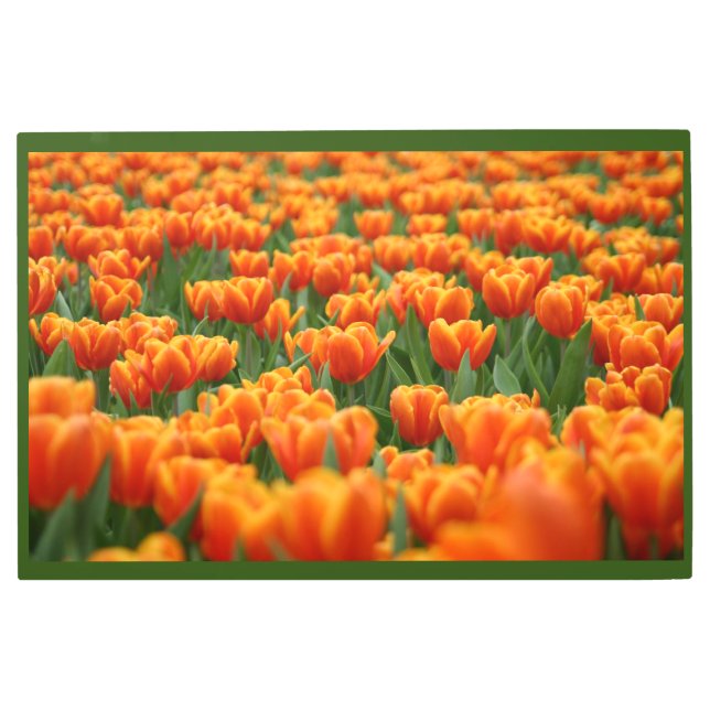 Impresión En Metal Sorprendente Naranja Flores Personalizado sala de  (Anverso)