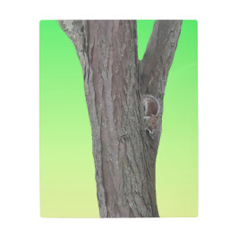 Impresión En Metal Squirrel Fanatic