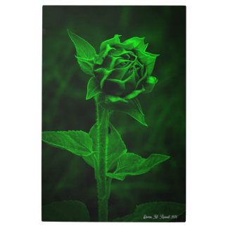 Impresión En Metal "Sunflower Bud" 