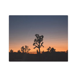 Impresión En Metal Sunset Joshua Trees