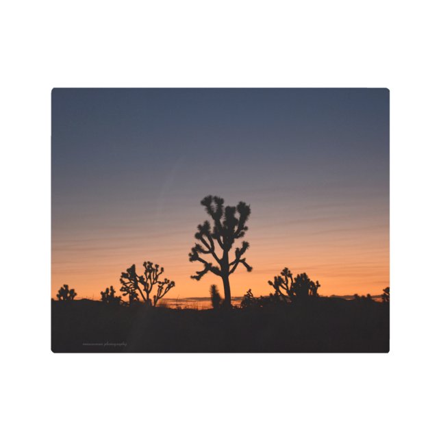 Impresión En Metal Sunset Joshua Trees (Anverso)