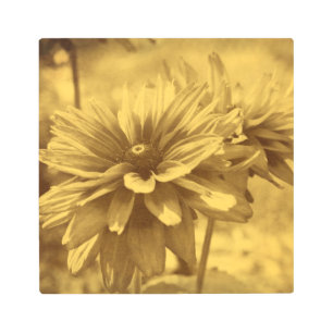 Impresión En Metal Susan Black Eyed Flowers Sepia Aged Vintage Look