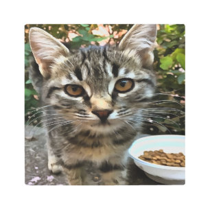 Impresión En Metal Tabby Cat Kitten Haciendo Contacto Ocular