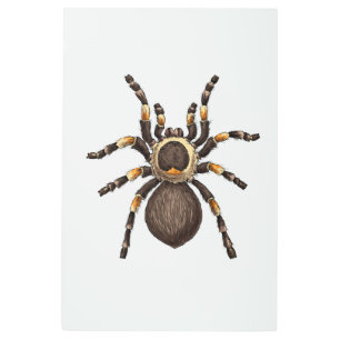 Impresión En Metal Tarantula