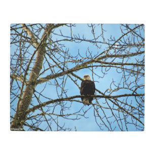 Impresión En Metal Te estoy vigilando